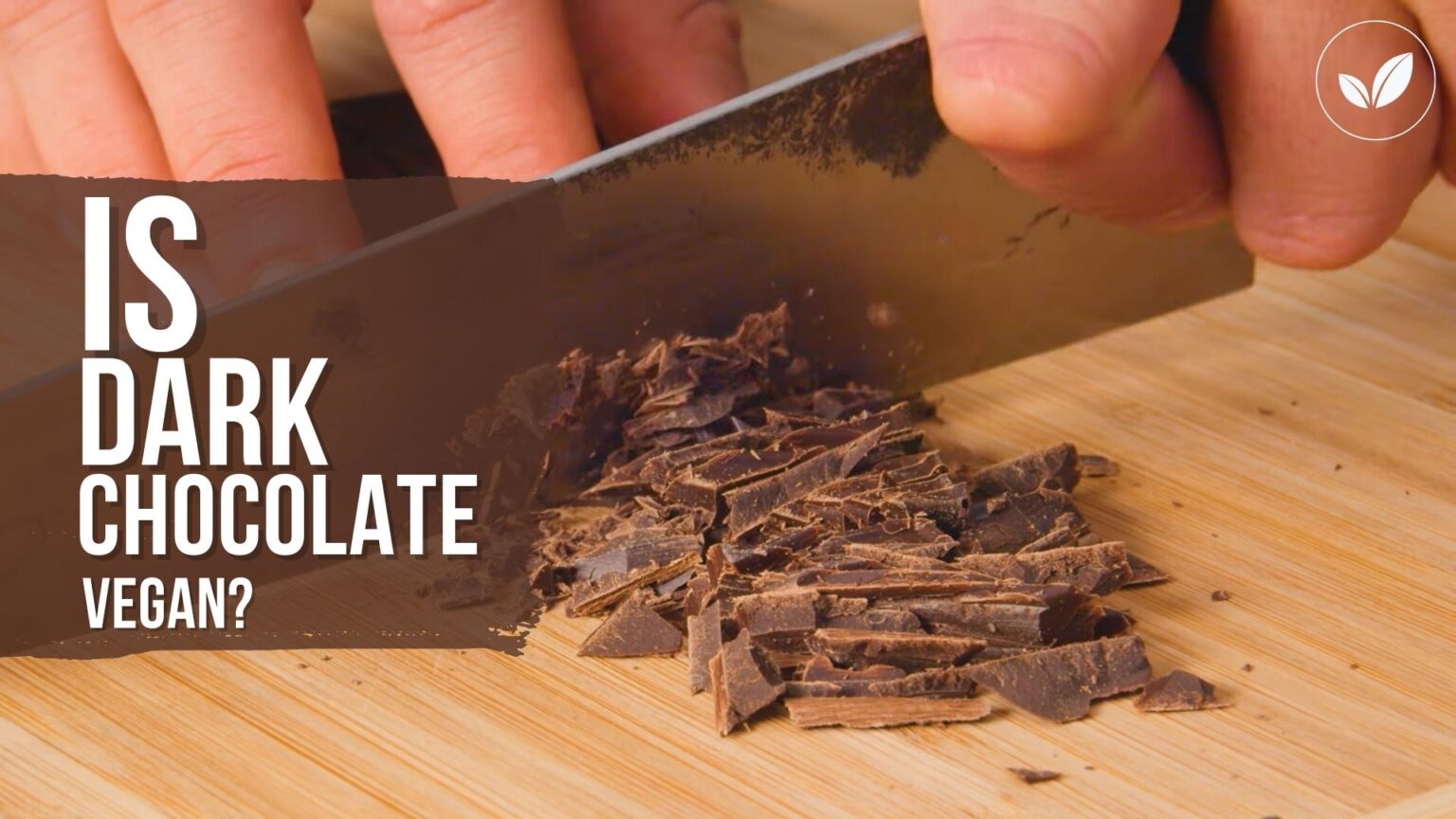 Is Dark Chocolate Vegan Sweet Secrets Exposed 