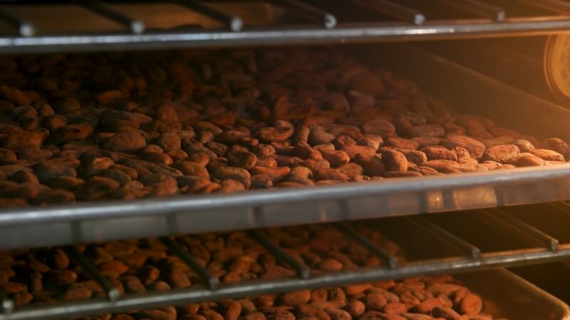 Cocoa Beans Roasting. Dark Chocolate Making Process.