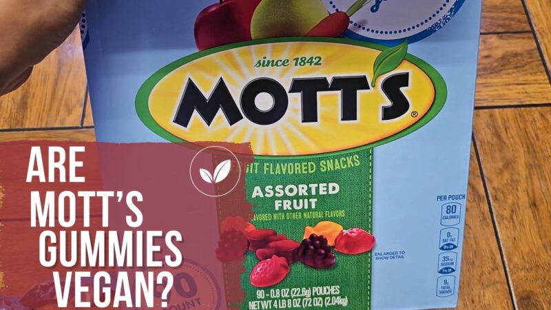 Are Mott's Gummies Vegan
