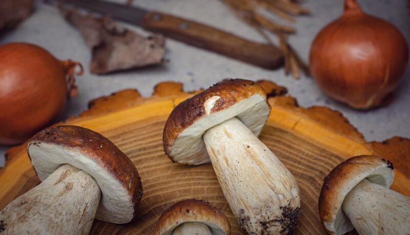 Is Porcini Mushroom Safe to Eat