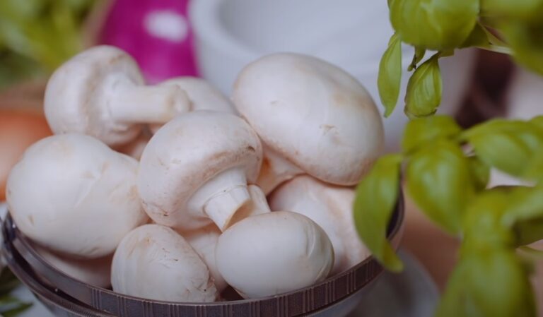 Can You Eat Mushrooms Raw - The Risks and Rewards